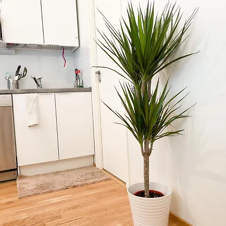 3Bed Apartment 18 Mins By Metro To Helsinki Centre Helsinki